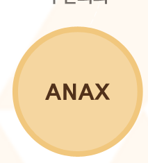 아낙스 P.LANAX 