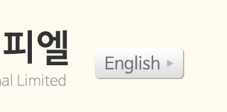 아낙스 P.L  